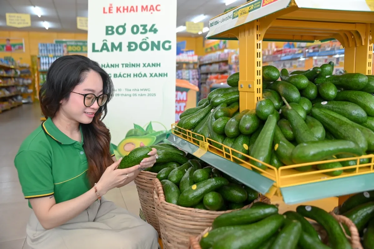 Lãnh đạo tỉnh Lâm Đồng cam kết chất lượng bơ O34 với Bách Hoá Xanh - Ảnh 5.