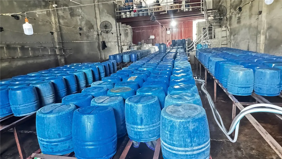 Khởi tố chủ cơ sở bán hơn 60 tấn giá đỗ “ngậm” thuốc kích thích tăng trưởng ra thị trường - Ảnh 2.