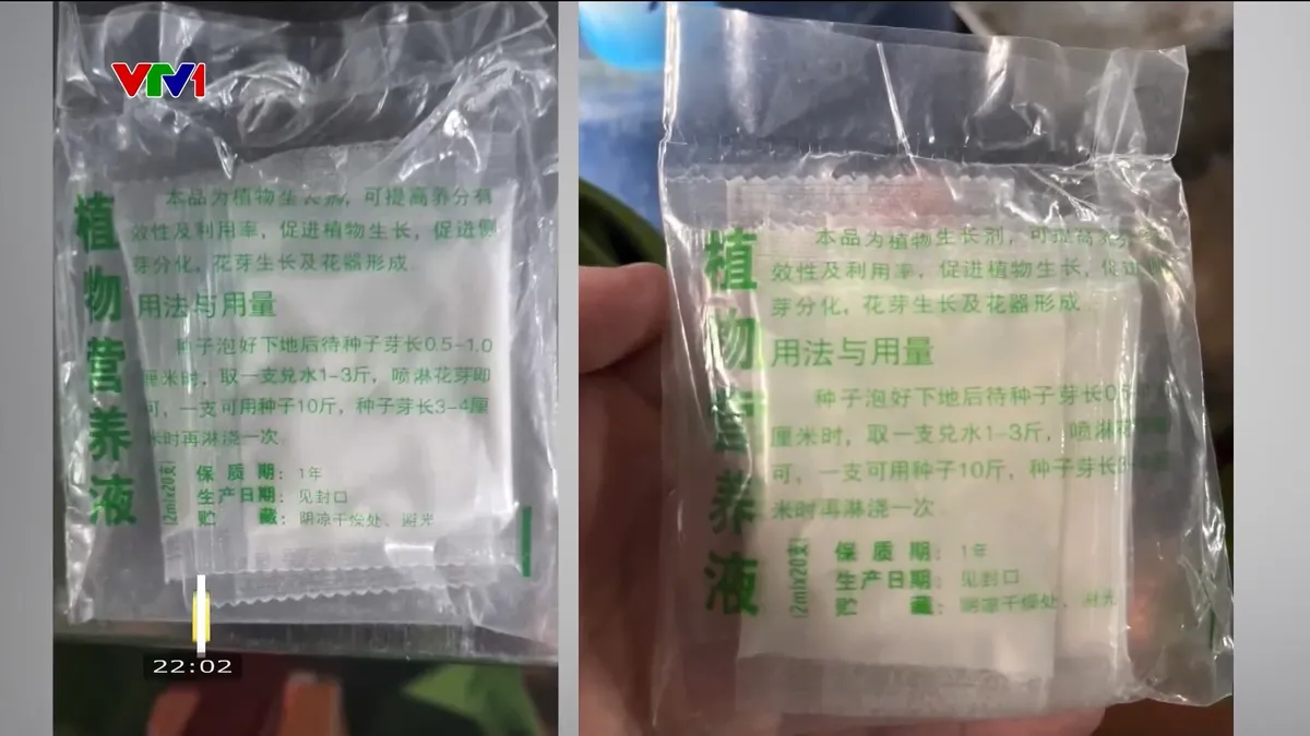 Vụ 60 tấn giá đỗ ngâm hóa chất: Báo động đỏ về an toàn thực phẩm - Ảnh 2.