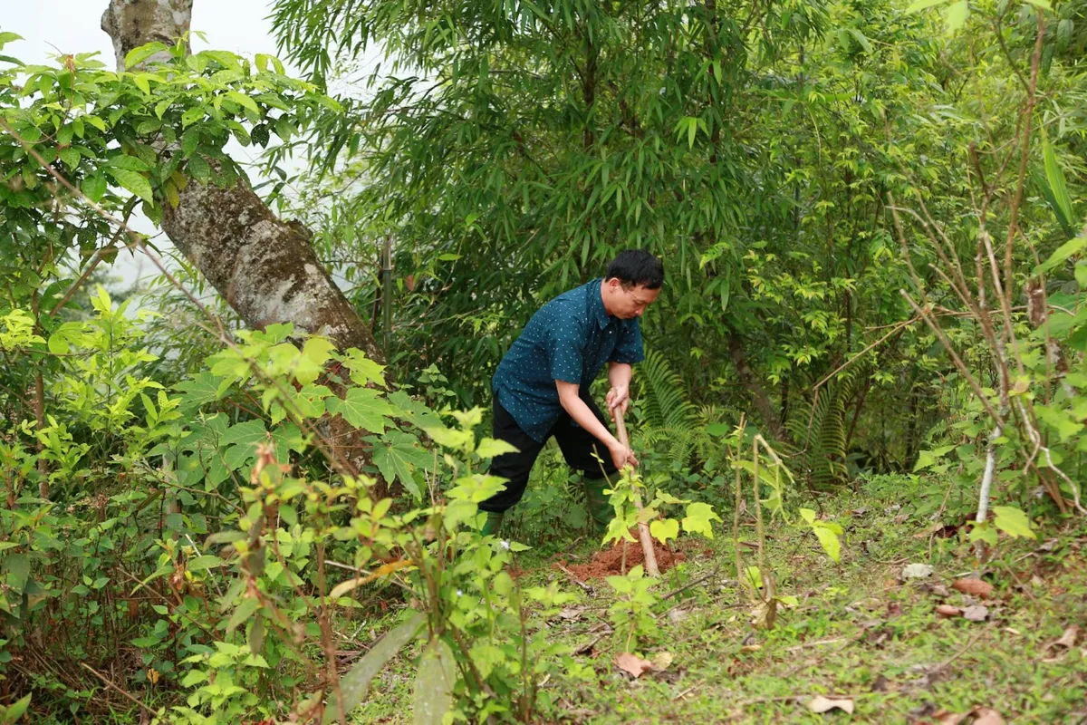 “Rừng cây tử tế’ - Hơn 10.000 cây xanh được ươm lên bởi lòng tốt - Ảnh 10.