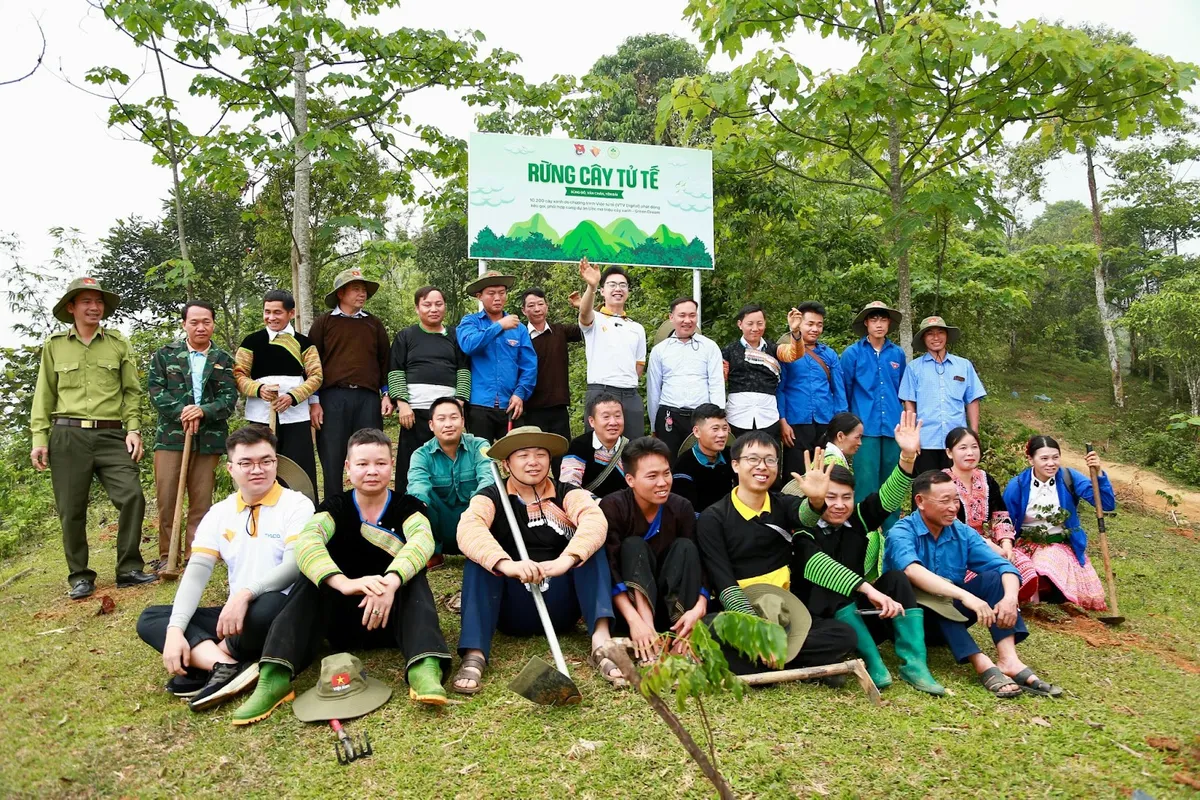 “Rừng cây tử tế’ - Hơn 10.000 cây xanh được ươm lên bởi lòng tốt - Ảnh 12.
