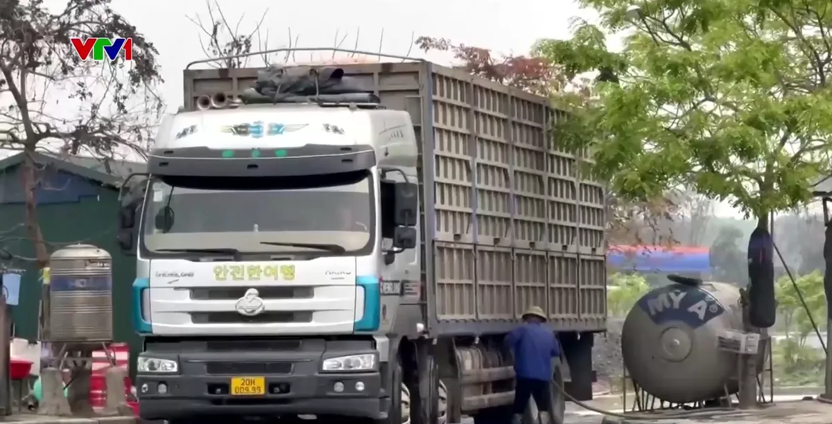 Buông lỏng quản lý xe tải quá khổ, quá tải từ đầu bến bãi - Ảnh 1.