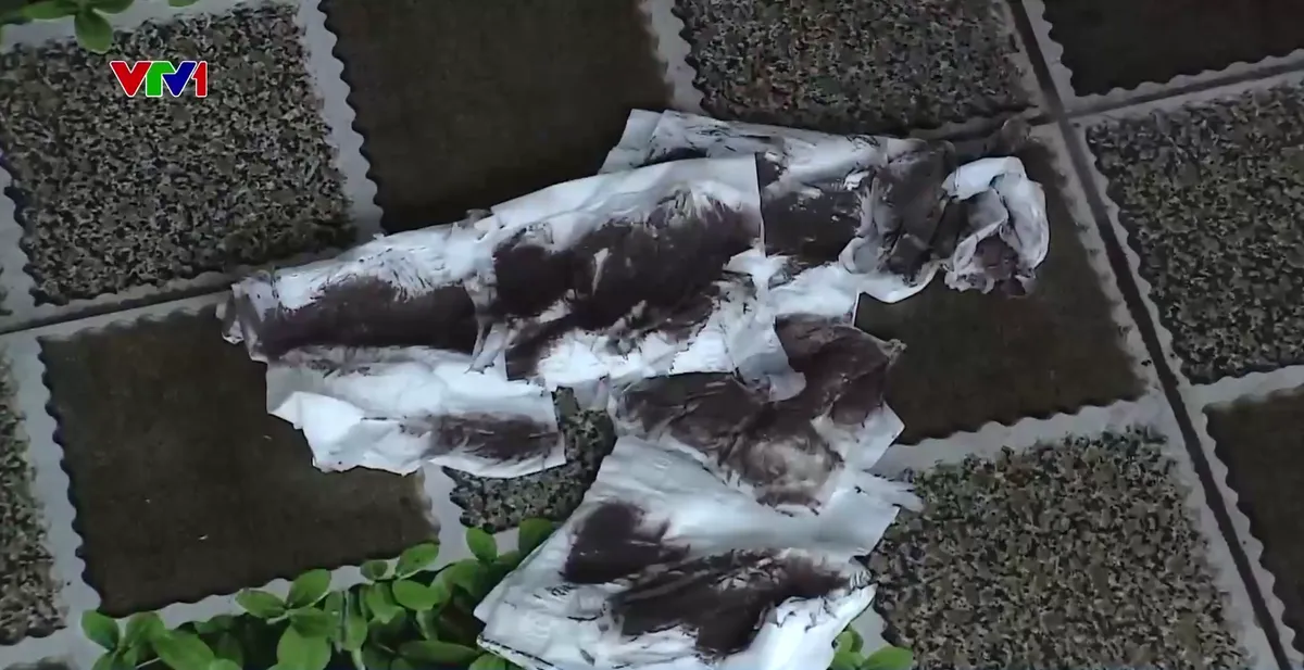 Khu dân cư bị ô nhiễm nghiêm trọng vì bụi bặm, muội đen - Ảnh 2.