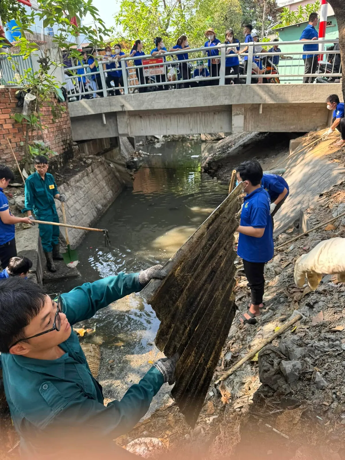 Tuổi trẻ TP Hồ Chí Minh ra quân hưởng ứng Ngày Môi trường Thế giới 2025 - Ảnh 2. Tuổi trẻ TP Hồ Chí Minh ra quân hưởng ứng Ngày Môi trường Thế giới 2025 - Ảnh 2.
