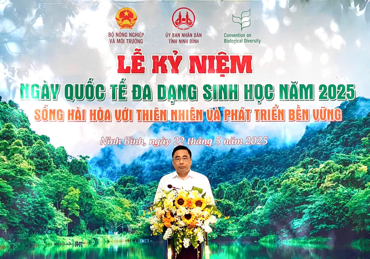 Cúc Phương: Thả Gà Lôi Trắng quý hiếm - Hành động thiết thực hưởng ứng Ngày Đa dạng sinh học - Ảnh 1.