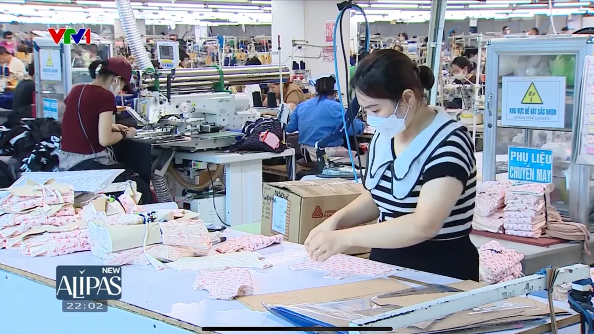 Sửa đổi Luật Việc làm: Lao động ngắn hạn cũng được tham gia bảo hiểm thất nghiệp - Ảnh 2.