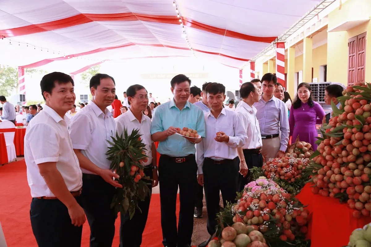 Bắc Giang: Vải thiều sớm Tân Yên mở rộng thị trường, hướng tới du lịch trải nghiệm - Ảnh 2.