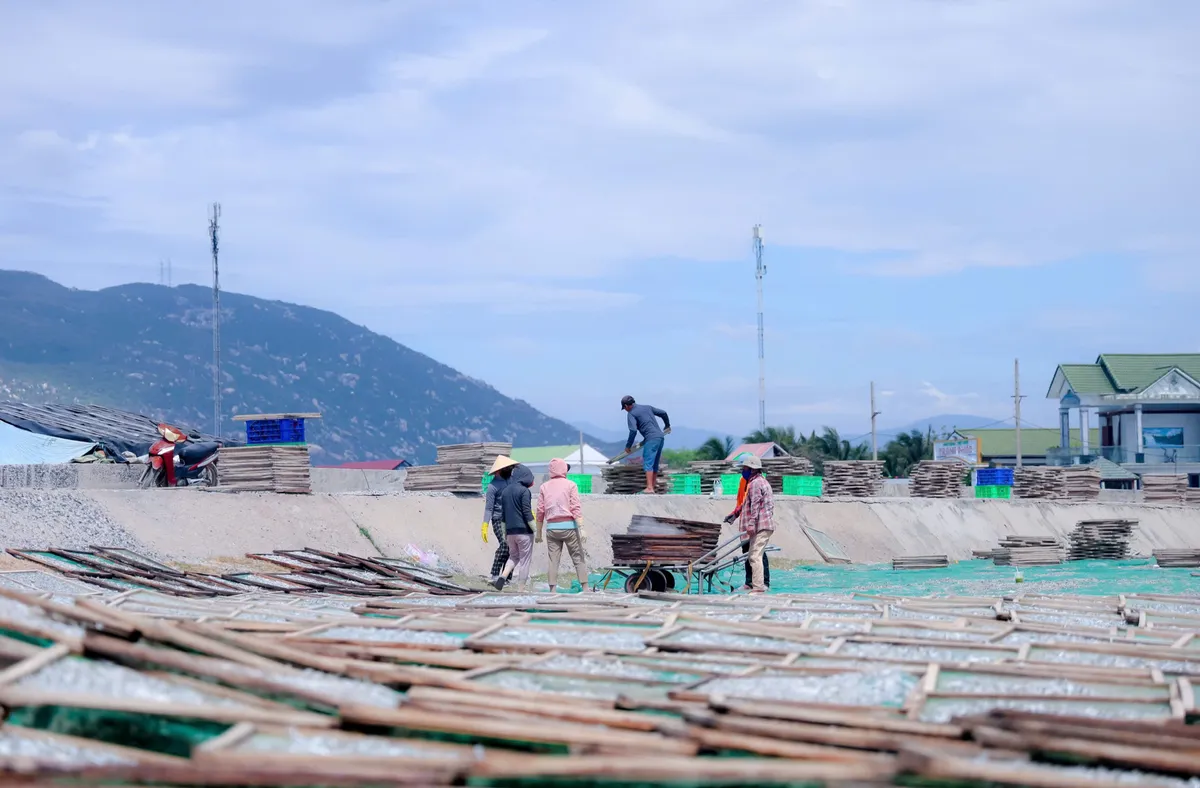 Khi vị mặn làm nên bản sắc - Ảnh 10.