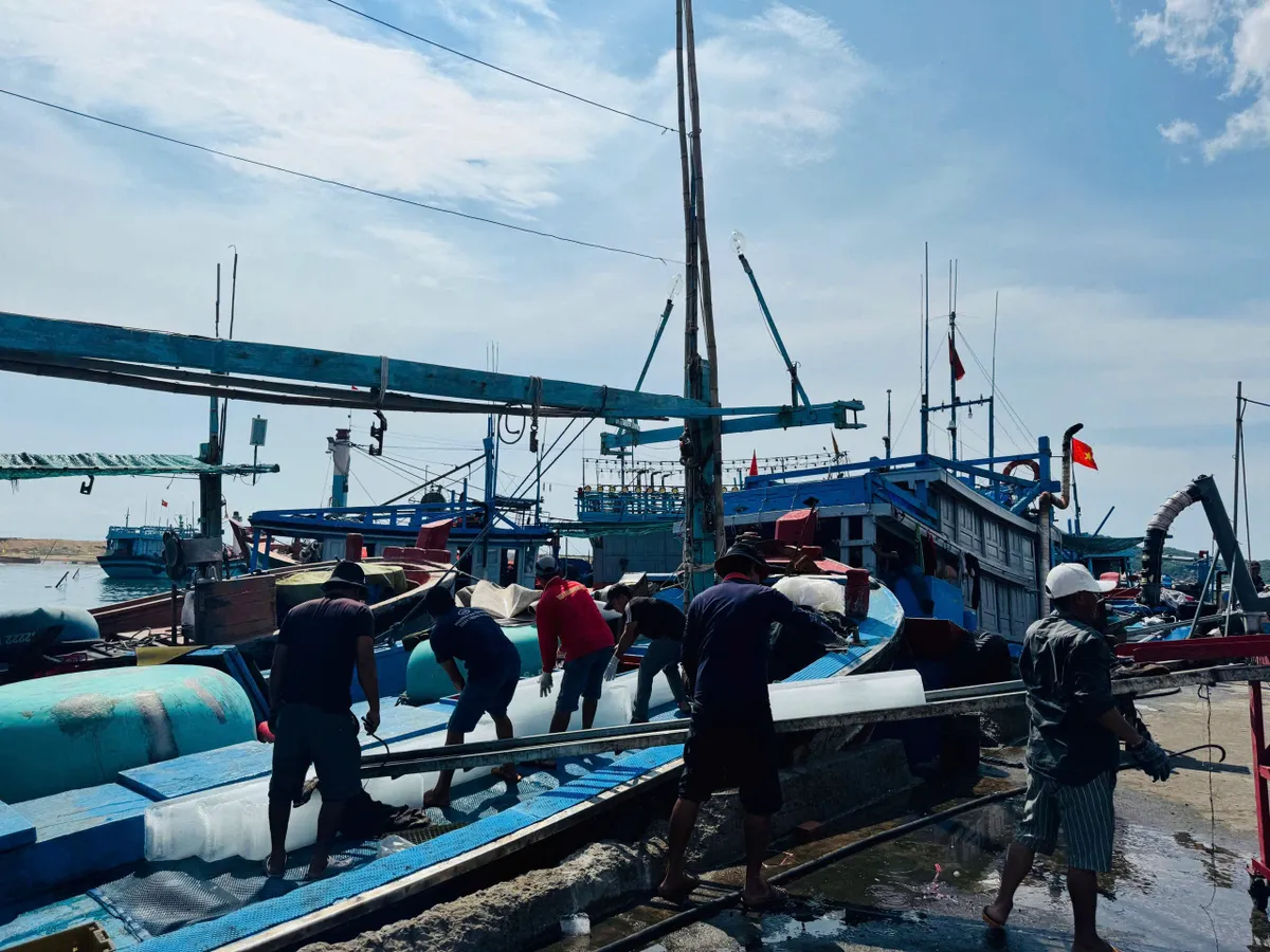 Ra khơi cùng giấc mơ cá lớn. - Ảnh 1.