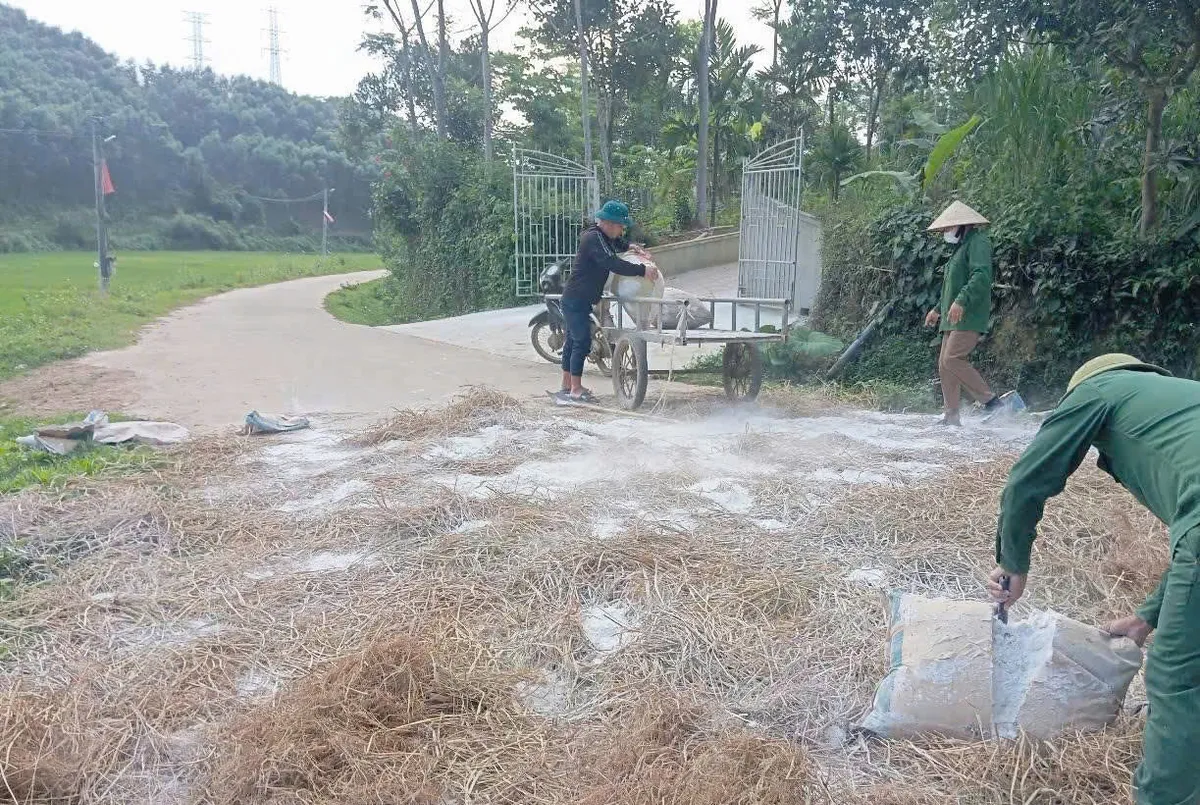 Nghệ An: Dịch tả lợn ch&acirc;u Phi b&ugrave;ng ph&aacute;t ở huyện Thanh Chương - Ảnh 3.