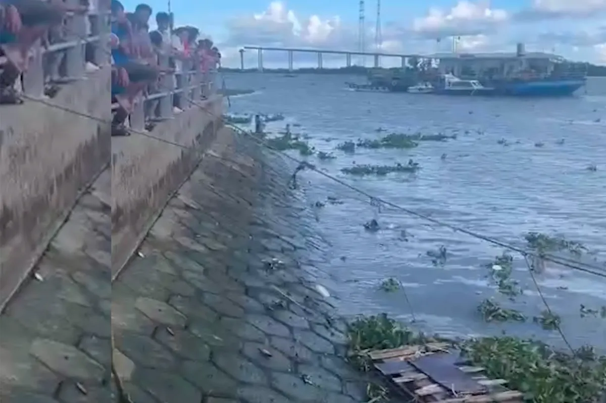 Đồng Nai: Tìm thấy thi thể bé gái bị nước cuốn trôi - Ảnh 3. Đồng Nai: Tìm thấy thi thể bé gái bị nước cuốn trôi - Ảnh 3.
