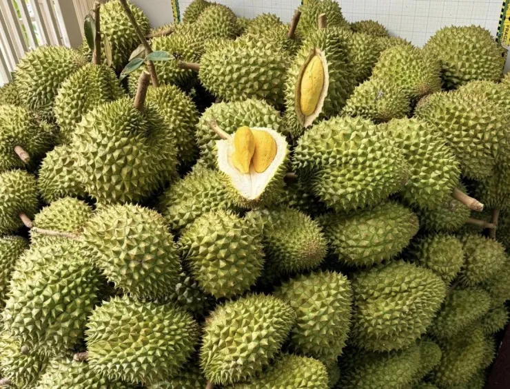 Xuất khẩu sầu riêng tăng kỷ lục trong 10 năm - Ảnh 1.