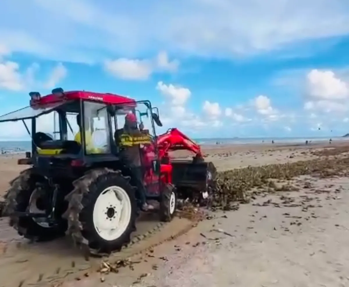 Rác tràn vào bãi biển, Vũng Tàu huy động lực lượng xuyên đêm thu gom - Ảnh 3. Rác tràn vào bãi biển, Vũng Tàu huy động lực lượng xuyên đêm thu gom - Ảnh 3.