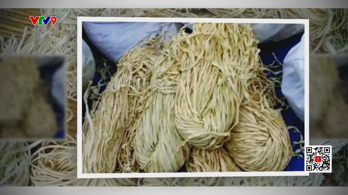 "Dây thừng" để ăn gần nửa triệu đồng/kg vẫn hút khách "Dây thừng" để ăn gần nửa triệu đồng/kg vẫn hút khách