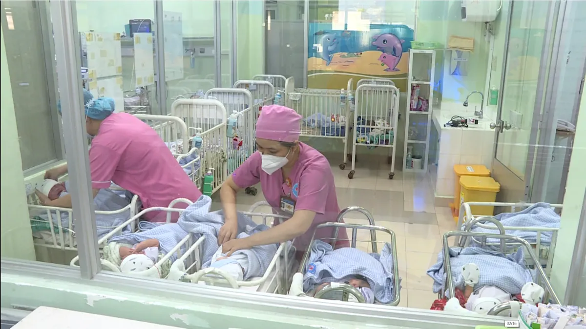 TP Hồ Chí Minh: Loạt chính sách quyết liệt để tăng tỷ lệ sinh - Ảnh 2.