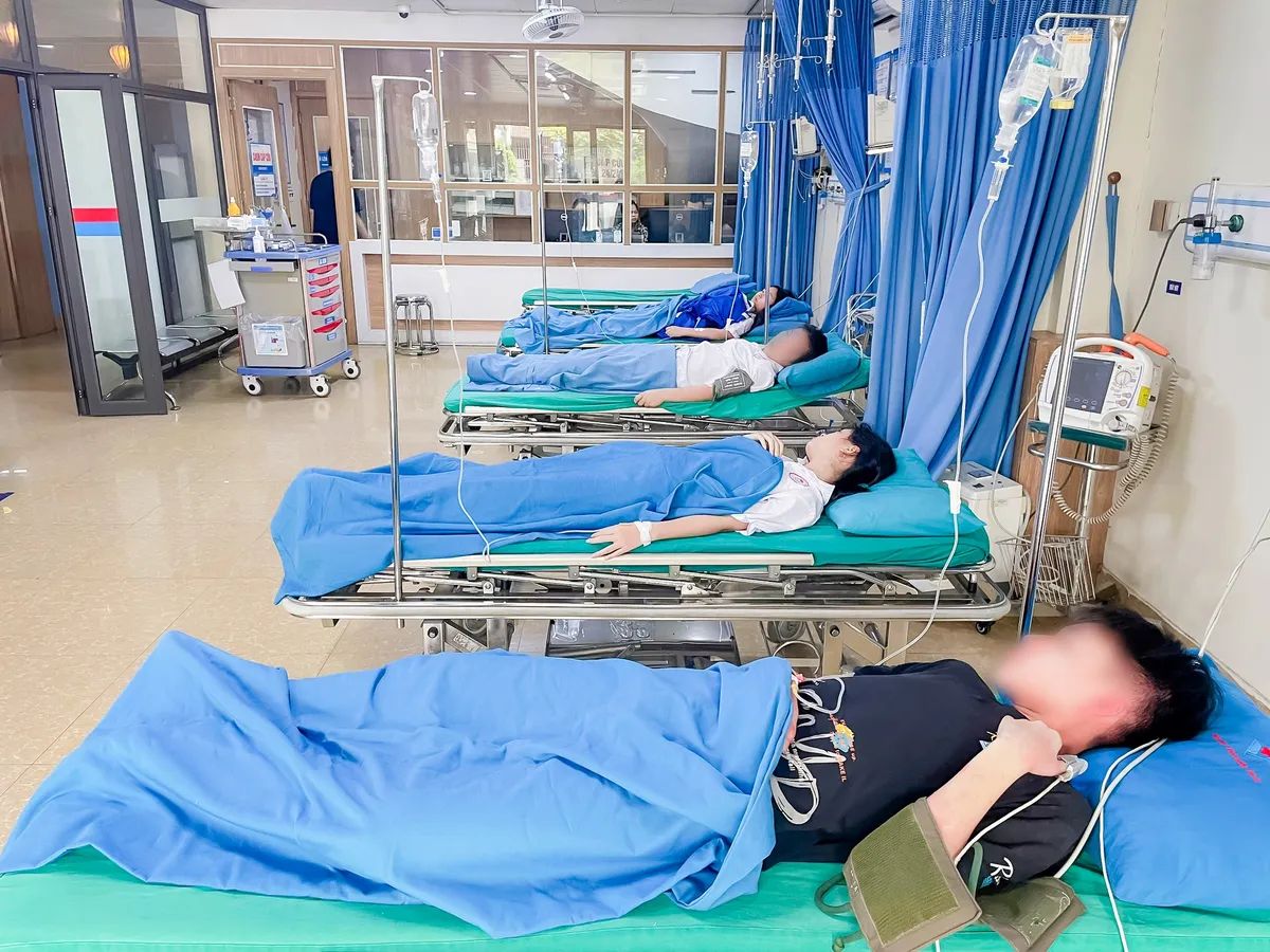 4 học sinh bị ong đốt nguy hiểm sau trò đùa ném tổ ong của bạn - Ảnh 1.