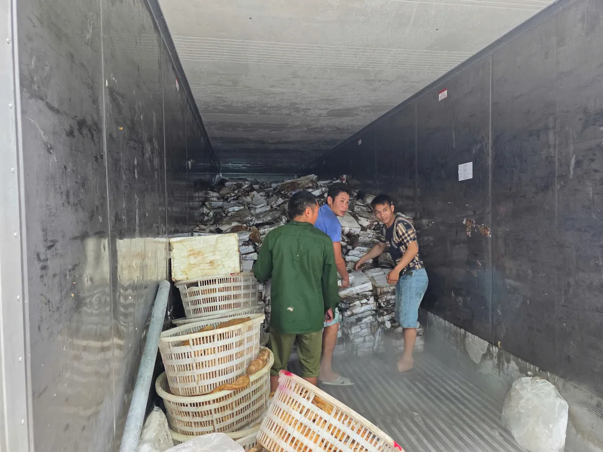 Phát hiện kho lạnh chứa 25 tấn mực, chân gà, sách bò bốc mùi, không rõ nguồn gốc - Ảnh 1. Phát hiện kho lạnh chứa 25 tấn mực, chân gà, sách bò bốc mùi, không rõ nguồn gốc - Ảnh 1.