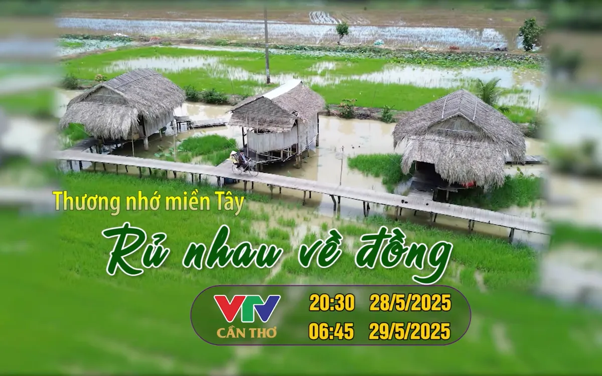 Rủ nhau về đồng: Trải nghiệm làm nông dân ở Đồng Tháp - Ảnh 1. Rủ nhau về đồng: Trải nghiệm làm nông dân ở Đồng Tháp - Ảnh 1.