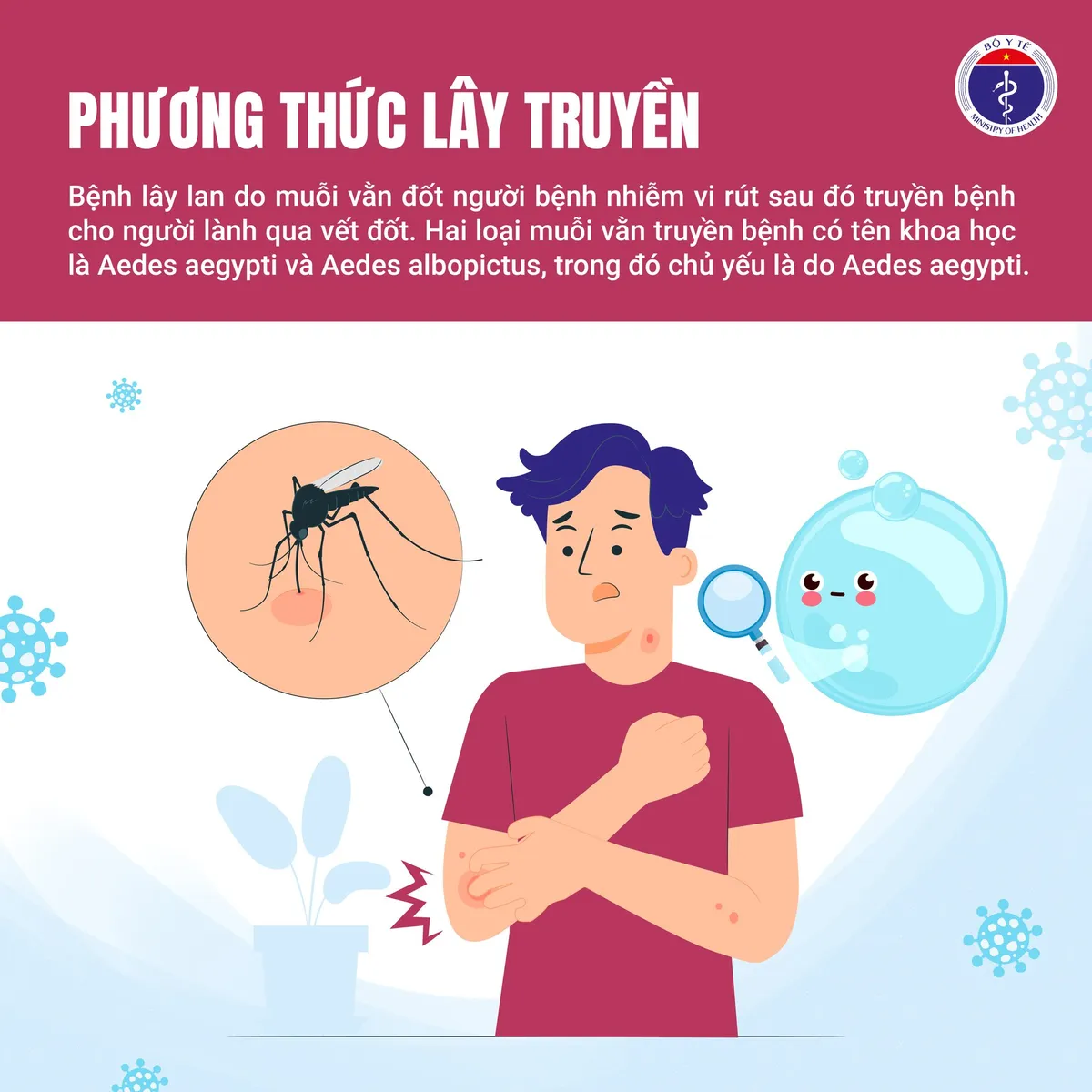 Chủ động phòng sốt xuất huyết: Mỗi nhà 10 phút, cộng đồng an toàn - Ảnh 3.