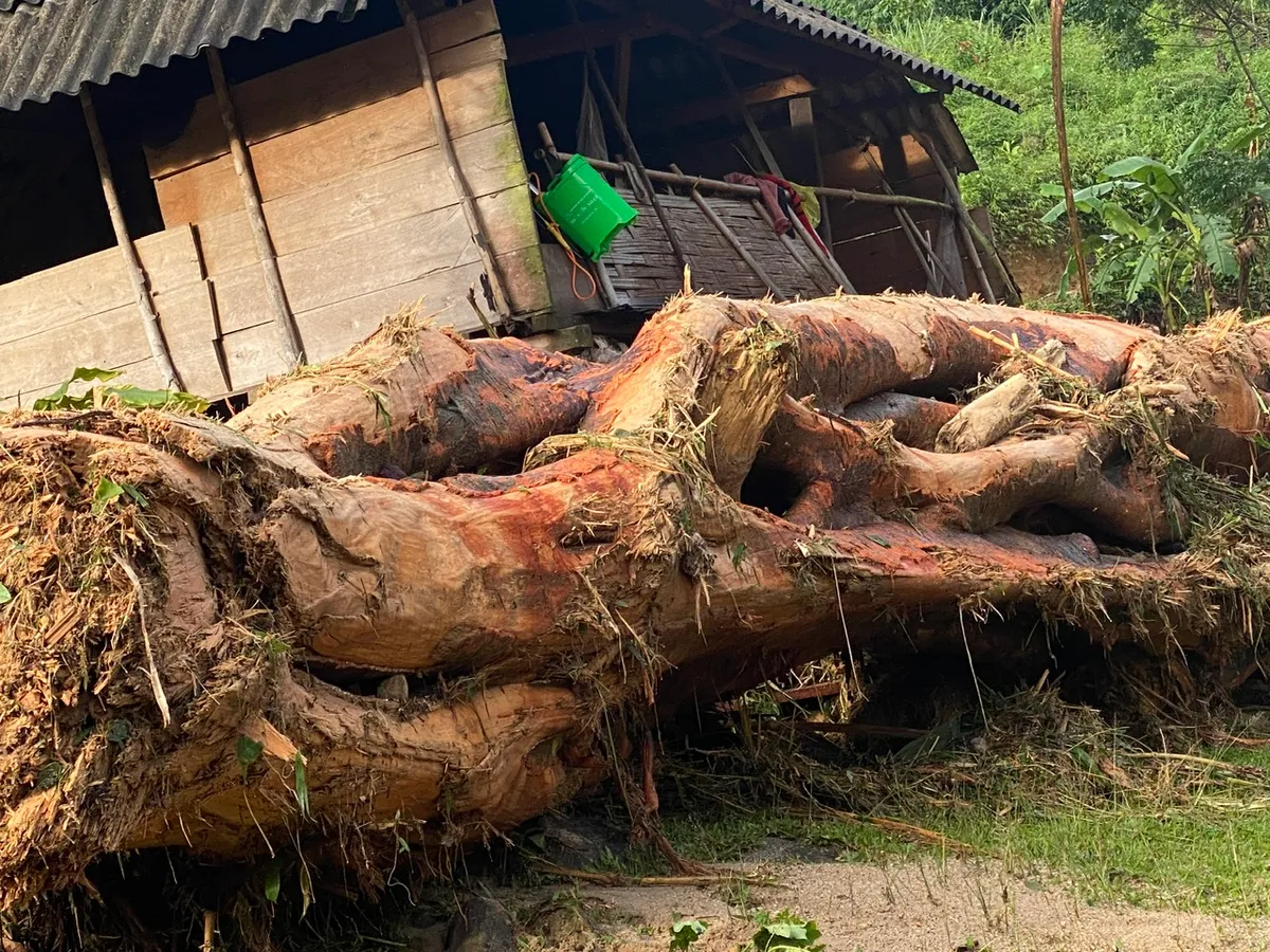 Lũ quét trong đêm gây thiệt hại 3 tỷ đồng của người dân bản biên giới Nghệ An - Ảnh 2.