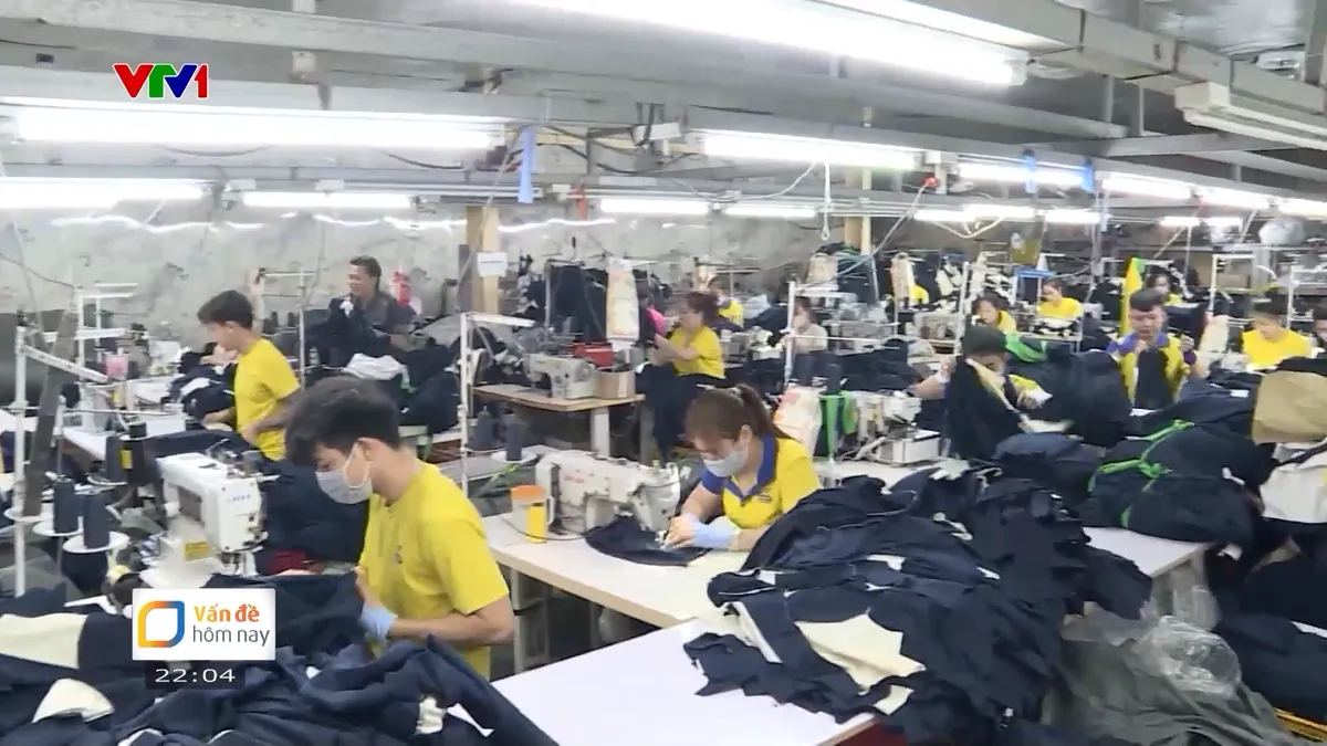 Dự thảo Luật Việc làm (sửa đổi): Hỗ trợ toàn diện cho người thất nghiệp - Ảnh 1.