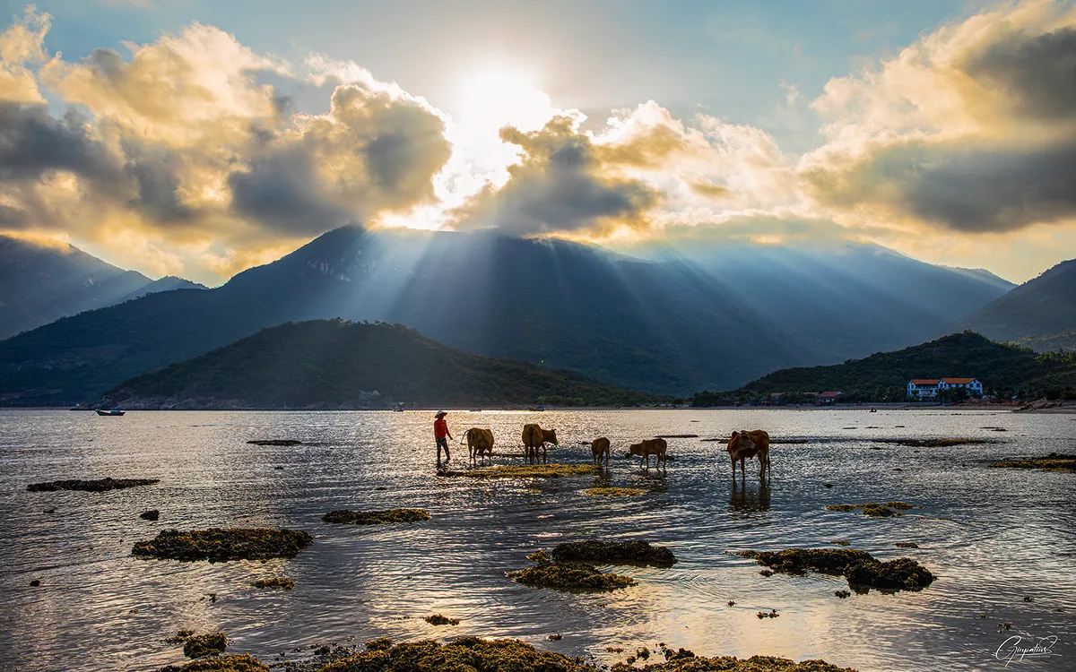 Triển lãm ảnh “Nha Trang say Hi - Hành trình qua ống kính”: Gửi lời mời gọi du lịch bằng hình ảnh - Ảnh 7.