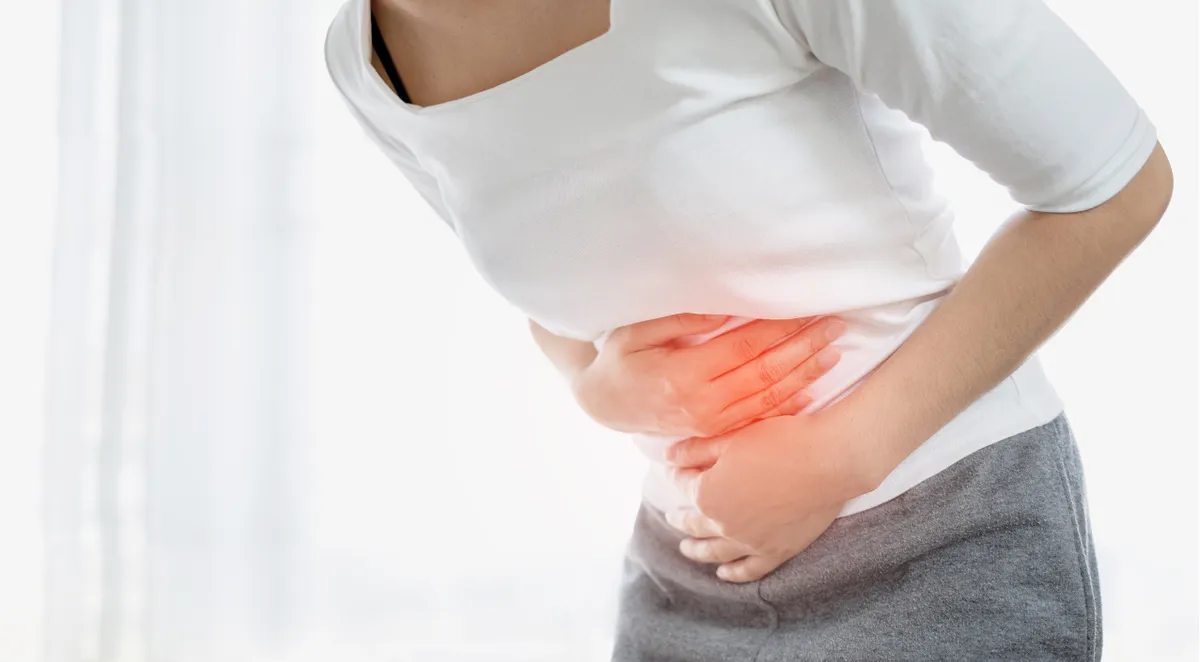 Toàn cảnh dự báo dịch bệnh mùa Hè tại TP Hồ Chí Minh và khuyến cáo phòng tránh - Ảnh 3.