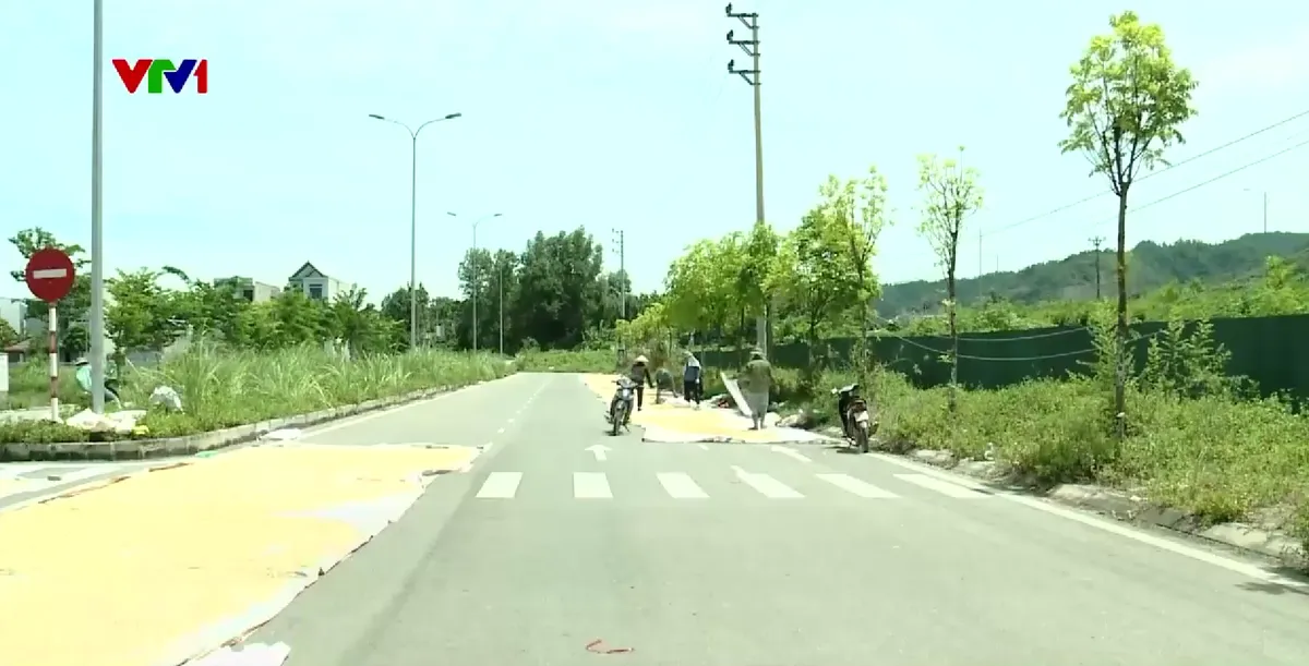 Người dân miền Bắc vật vã dưới nắng nóng cực đoan 40 độ C - Ảnh 4.