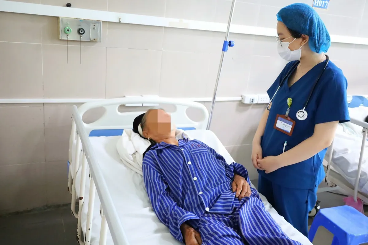4 người nhập viện sau khi ăn nấm hái trong rừng - Ảnh 1.