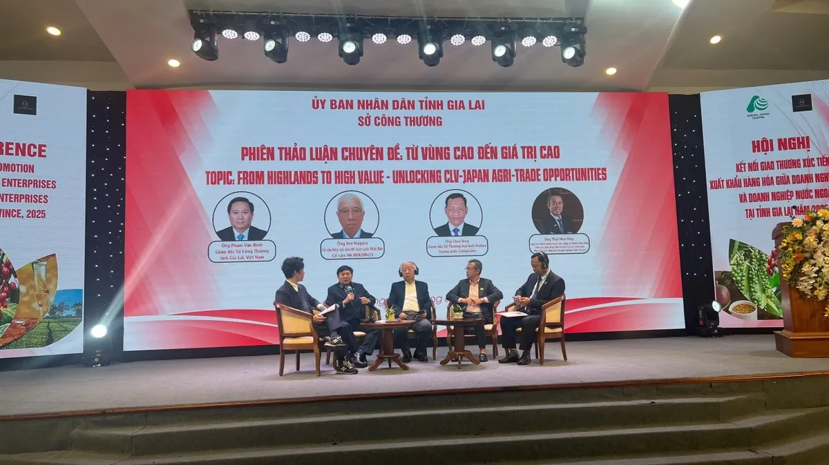 Gia Lai đẩy mạnh kết nối giao thương với doanh nghiệp nước ngoài - Ảnh 4.