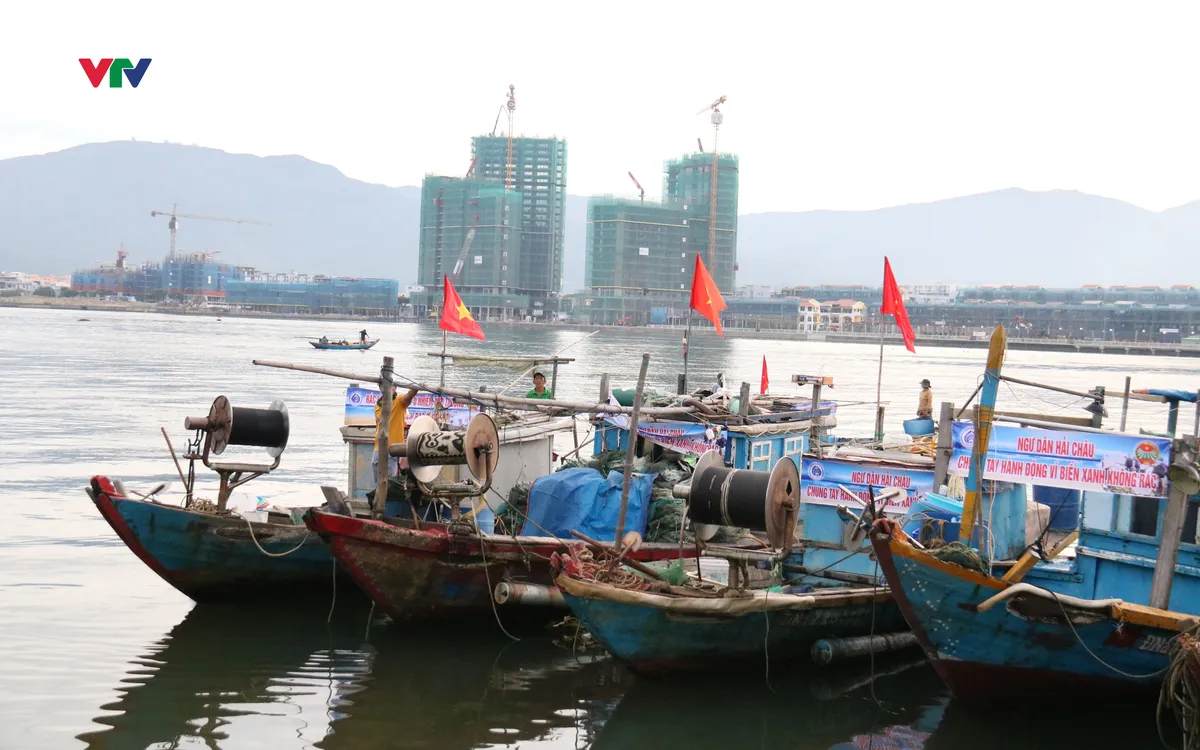 Đà Nẵng phát động Tháng hành động vì môi trường và Tuần lễ Biển, Hải đảo Việt Nam 2025 - Ảnh 2.