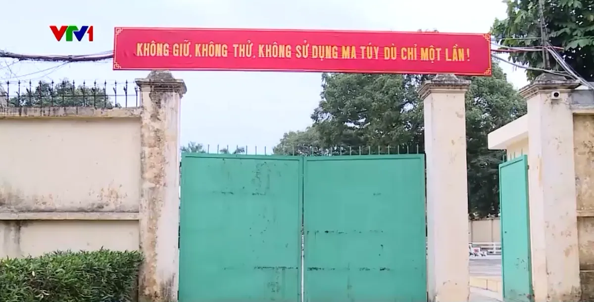 70% người dùng ma túy là thanh niên, học sinh, sinh viên - Ảnh 3.