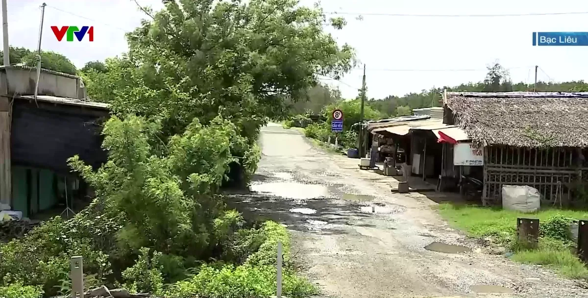 Cần xử l&yacute; vi phạm h&agrave;nh lang bảo vệ đ&ecirc; biển Đ&ocirc;ng - Ảnh 2.