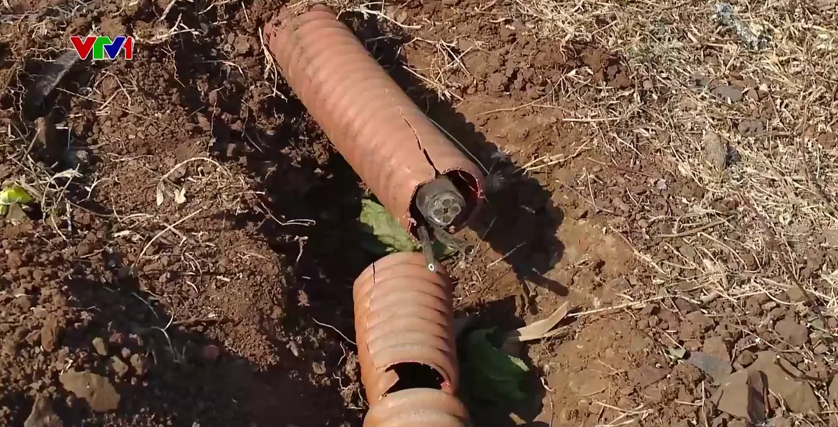 Báo động thiết bị hạ tầng giao thông bị lấy trộm - Ảnh 1.