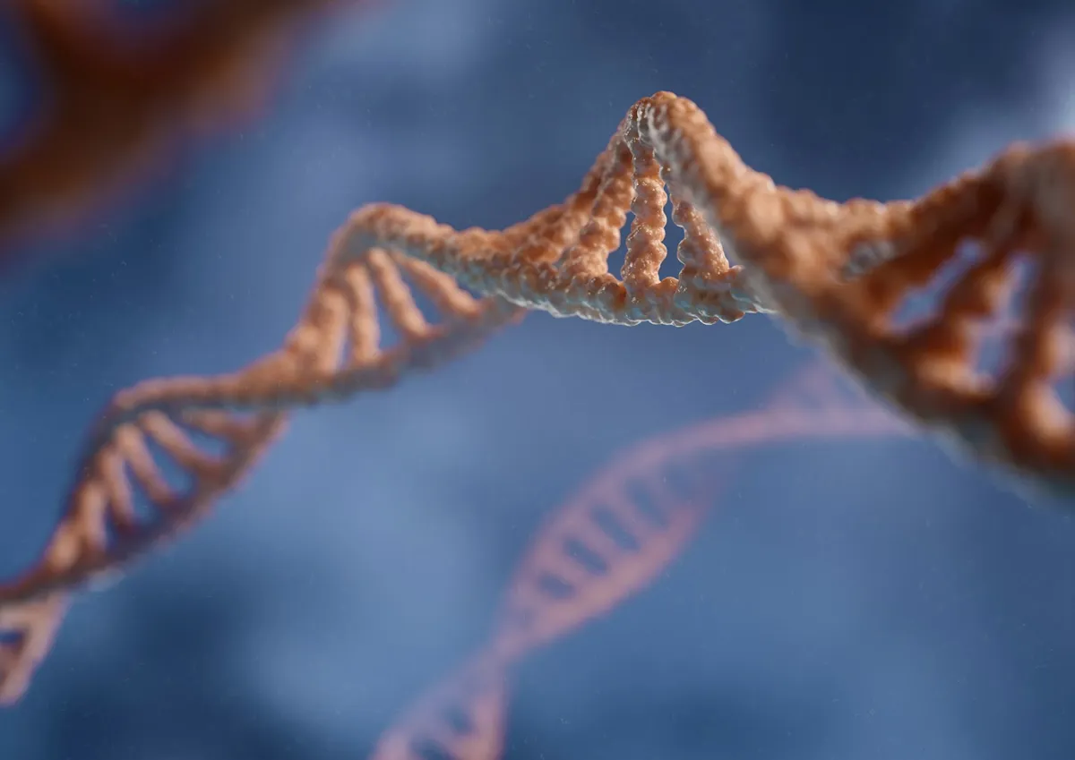 Phát hiện gene đột biến giúp con người khỏe mạnh dù chỉ ngủ 3 tiếng mỗi đêm - Ảnh 1.