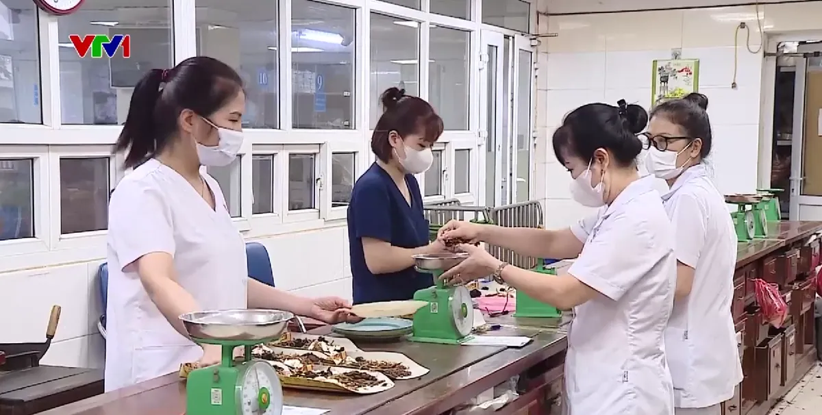 Lương y chân chính vất vả xin cấp phép giữa “bão” quảng cáo thuốc đông y giả - Ảnh 4.