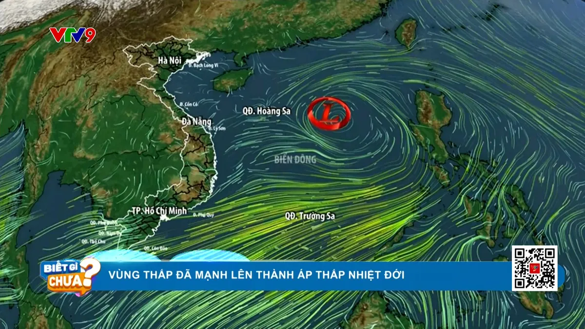 Thời sự: Biết gì chưa (10/6/2025)