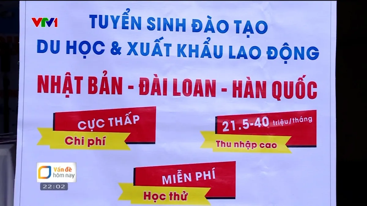 Đầu tư dịch vụ việc làm là chiến lược dài hạn nâng cao chất lượng lao động - Ảnh 2.