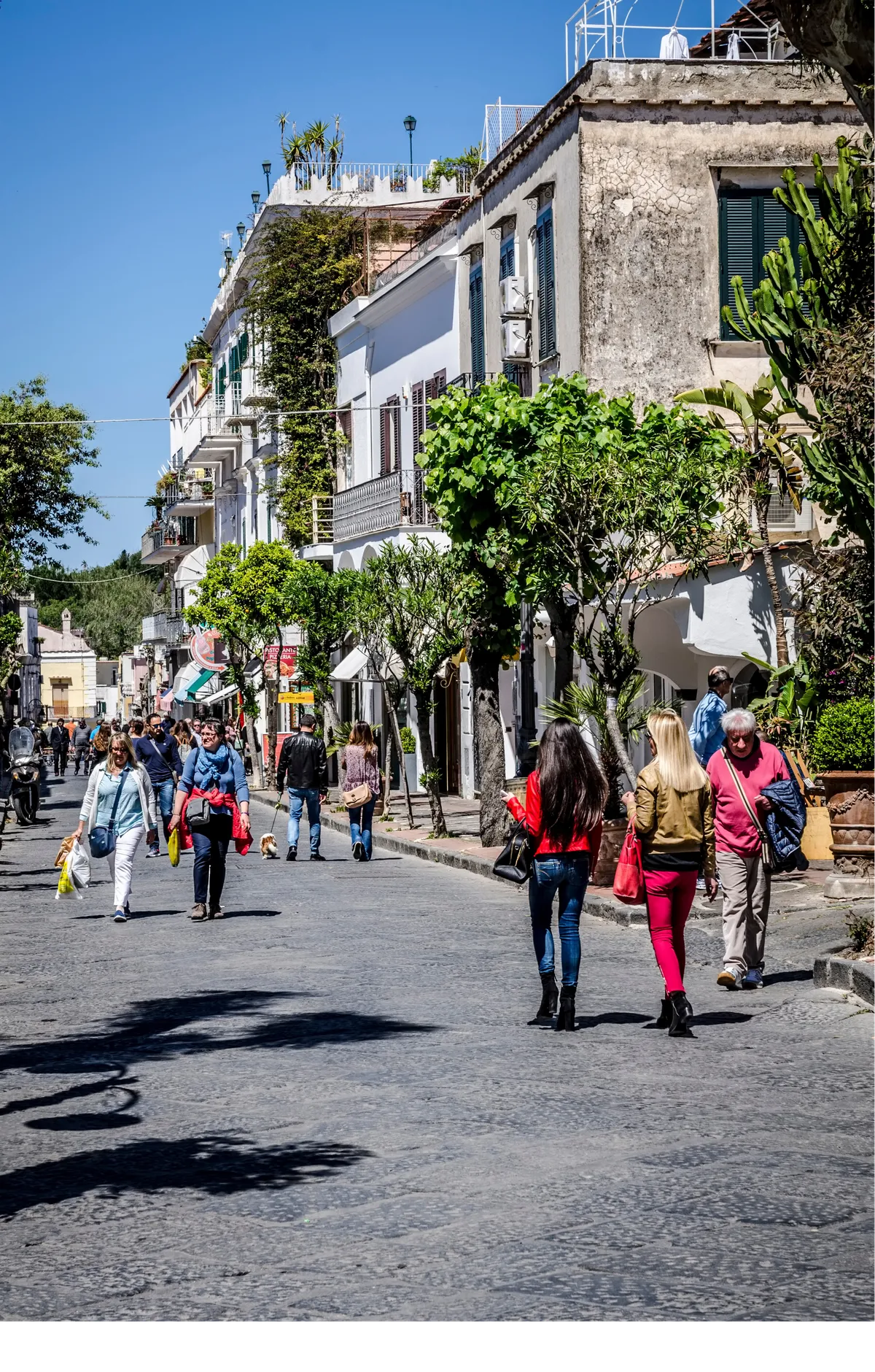 Ischia - Thiên đường chữa lành từ thời La Mã- Ảnh 2.