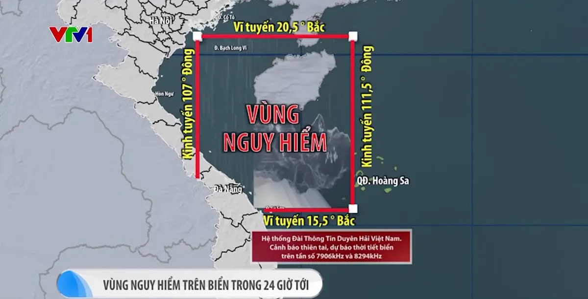 Mưa lớn tại Quảng Trị: Hơn 10.000 ha lúa chìm trong nước - Ảnh 4.