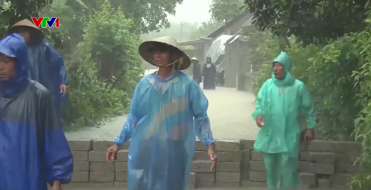 Mưa lớn tại Quảng Trị: Hơn 10.000 ha lúa chìm trong nước - Ảnh 2.