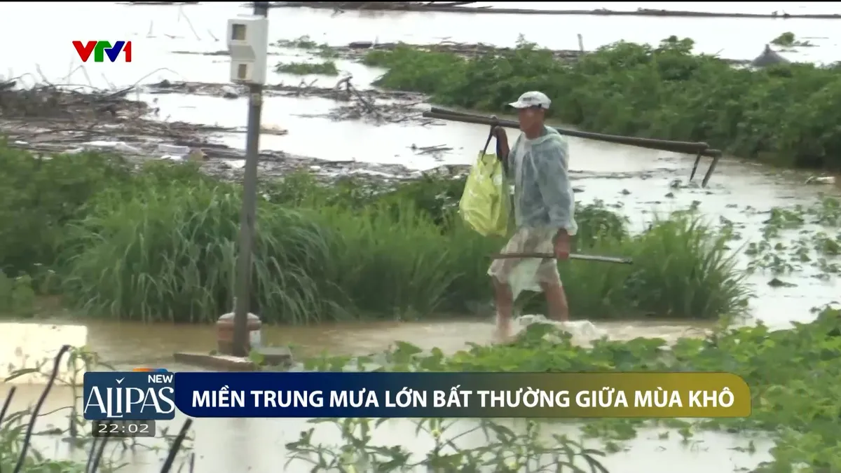 Vì sao thời tiết năm 2025 ở Việt Nam bất thường, khó dự đoán? - Ảnh 1.