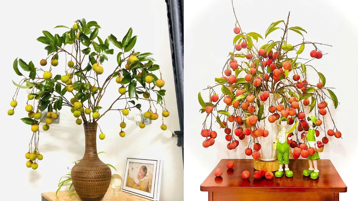 Độc đáo trào lưu cắm cành vải thành hoa - Ảnh 3.