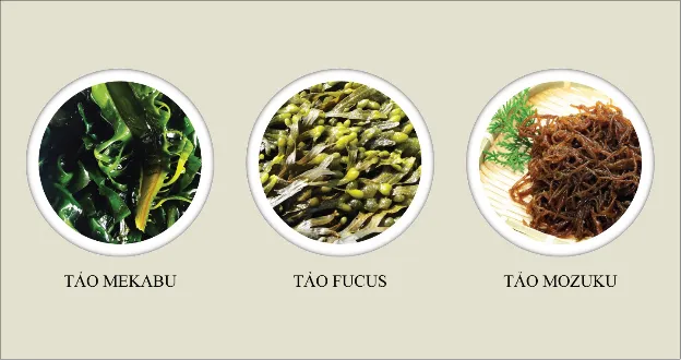 Cách chọn Fucoidan an toàn cho sức khỏe - Ảnh 1.