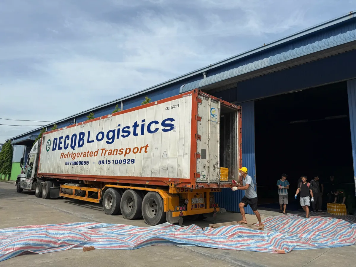 Chặn đứng container chở hơn 20 tấn nội tạng bốc mùi trên đường vào Nam tiêu thụ - Ảnh 1.