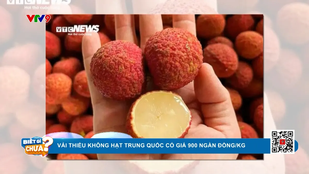 Vải thiều Trung Quốc 900.000/kg Vải thiều Trung Quốc 900.000/kg