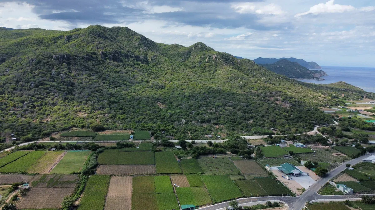 Nơi nắng gió gửi trao những mùa quả ngọt - Ảnh 4.