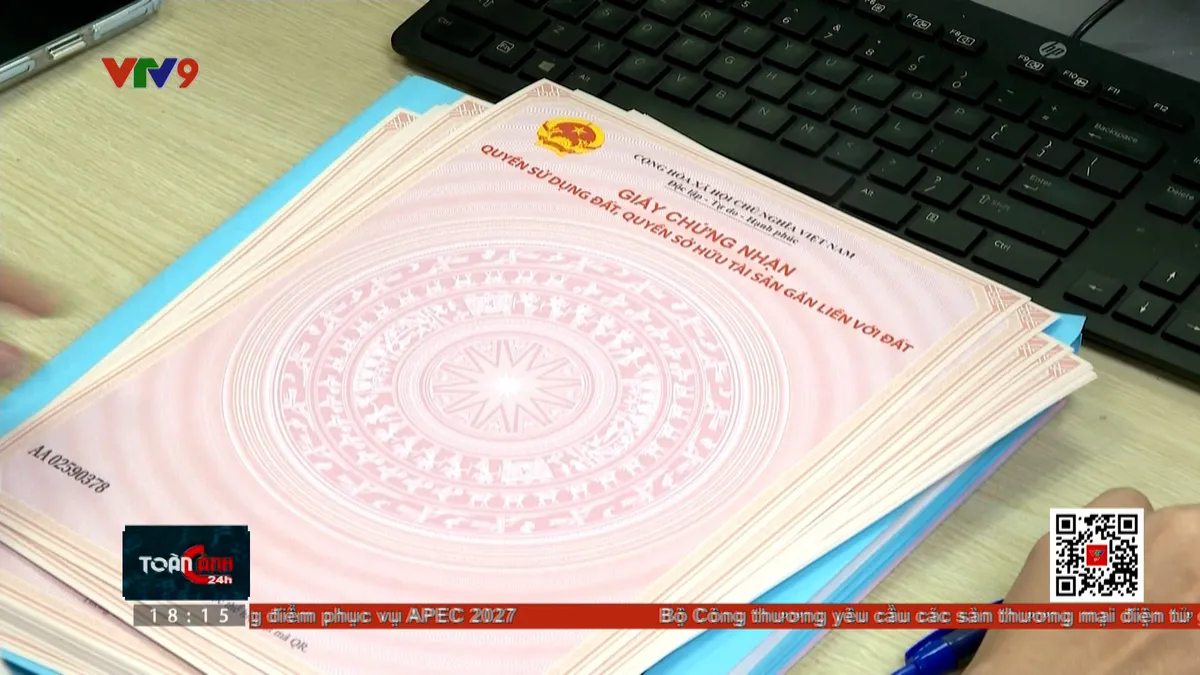 Thời sự: Toàn cảnh 24h (20/6/2025) Thời sự: Toàn cảnh 24h (20/6/2025)