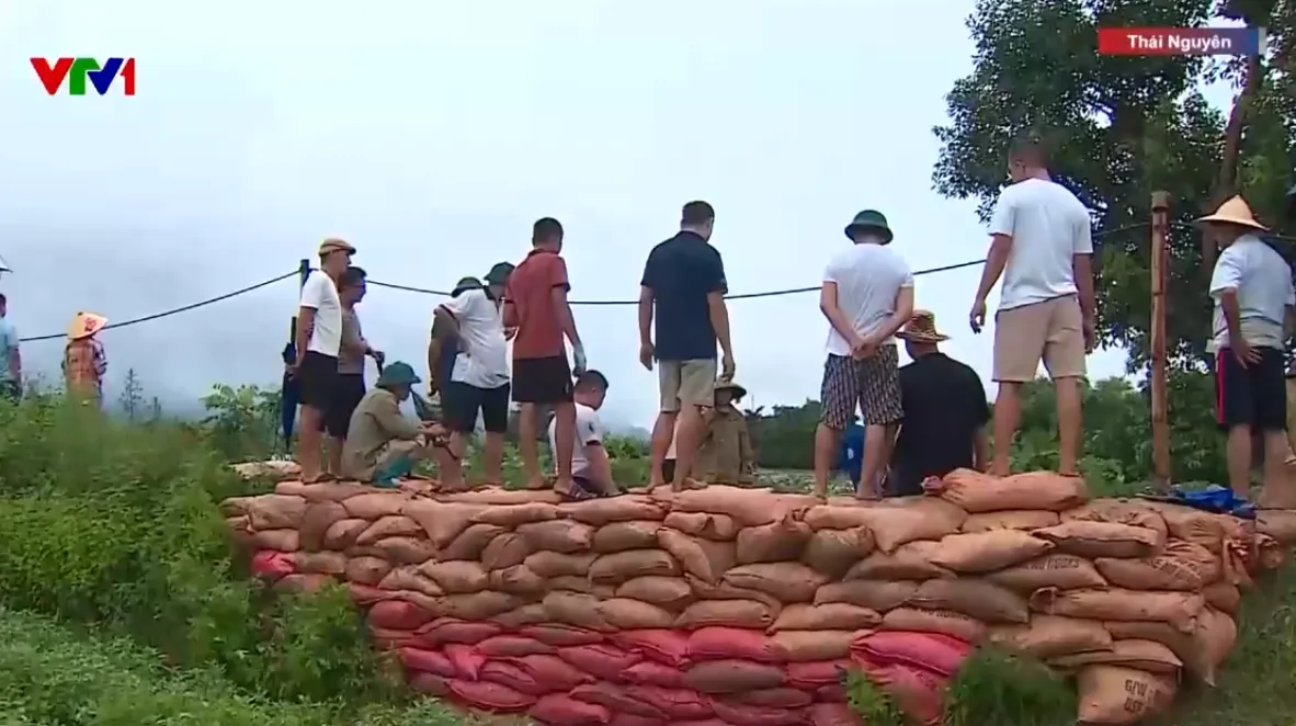 Người dân Thái Nguyên đắp đê ngăn lũ sông Cầu- Ảnh 2. Người dân Thái Nguyên đắp đê ngăn lũ sông Cầu- Ảnh 2.