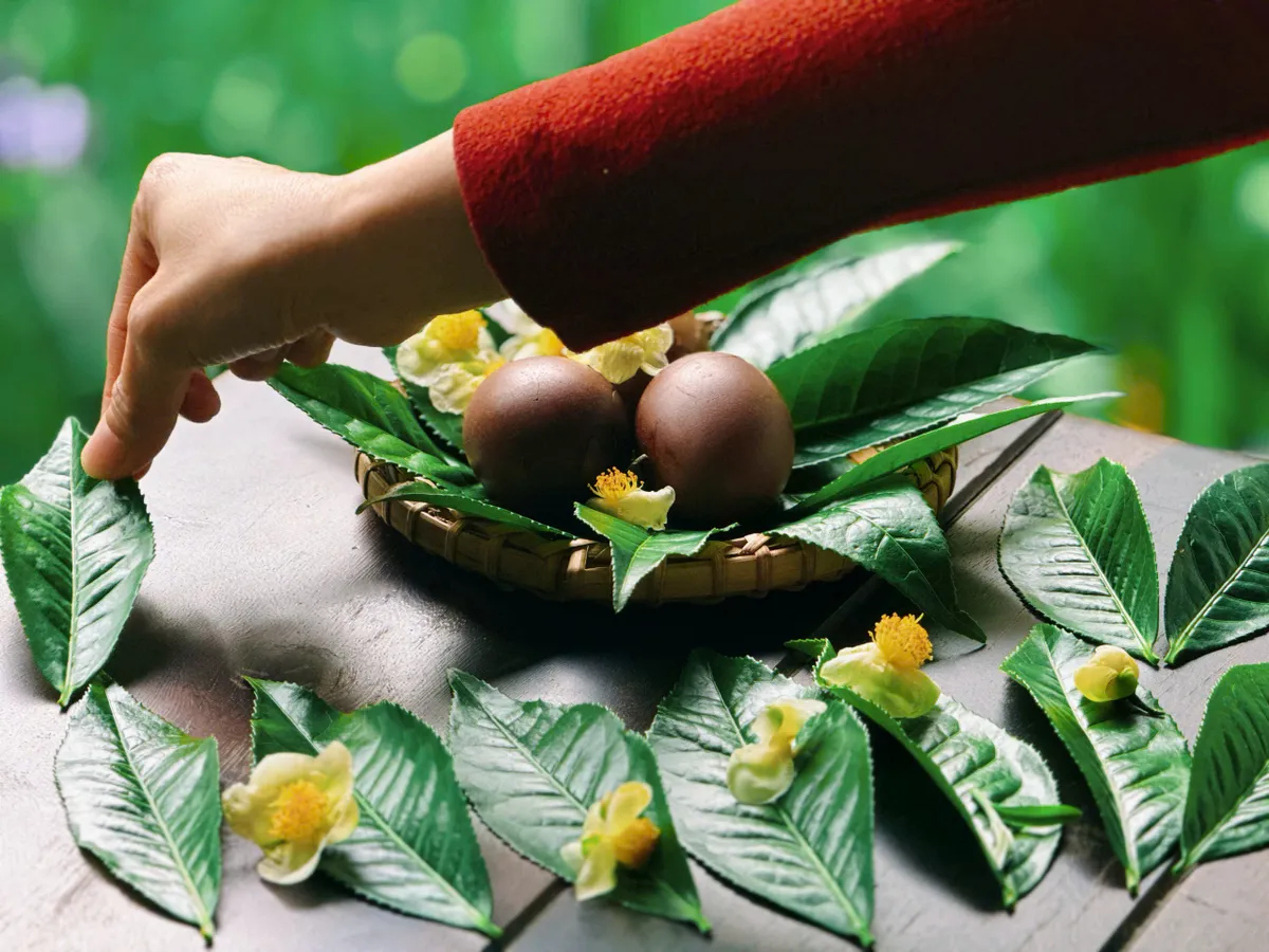 Hương vị ẩm thực trà Ô Long từ làng chè Cầu Đất   - Ảnh 9.